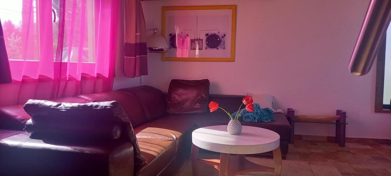 Két Puli Vendégház Bekescsaba Extérieur photo