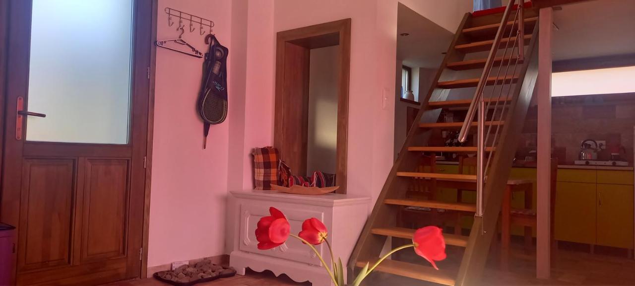 Két Puli Vendégház Bekescsaba Extérieur photo